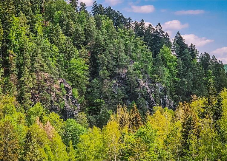 Kružberská přehrada